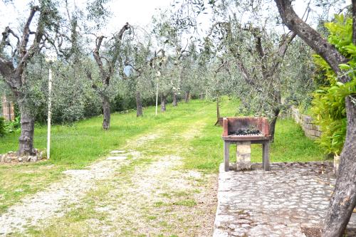 10_barbecue_fara_del_falco